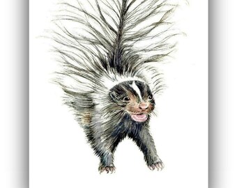Skunkkunst, aquarelprint bosdieren, grappig, zwart-wit, illustratie