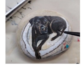 Pet portrait on rock - Custom hand painted realistic and detailed cat or dog portrait on a stone from your photos.