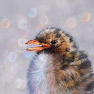 Noordse stern kunstprint, sternkunstwerk, sternkaart, wenskaarten voor vogelaanmoediging, sternverjaardagskaart, poolvogel notecard