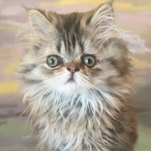 Op de afbeelding: Een close-up van een pluche, langharige kitten met bruin en wit haar. De kitten heeft grote, groene ogen en een witte neus. De achtergrond is een zachte, wazige, pastelkleur.