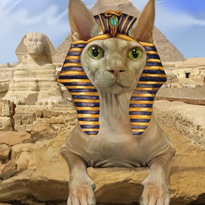 Op de afbeelding: Een haarloze kat met een gouden en blauwe farao-hoofdtooi zit op een rots voor een piramide. De kat heeft groene ogen en een serieuze uitdrukking.