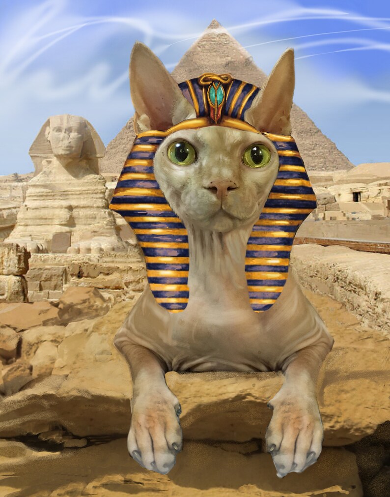 Op de afbeelding: Een haarloze kat met een gouden en blauwe farao-hoofdtooi zit op een rots voor een piramide. De kat heeft groene ogen en een serieuze uitdrukking.