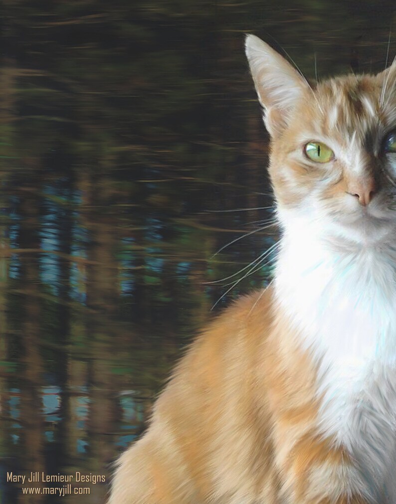 May include: A close-up of a ginger and white cat with green eyes. The cat is looking directly at the camera. The background is blurred and out of focus.