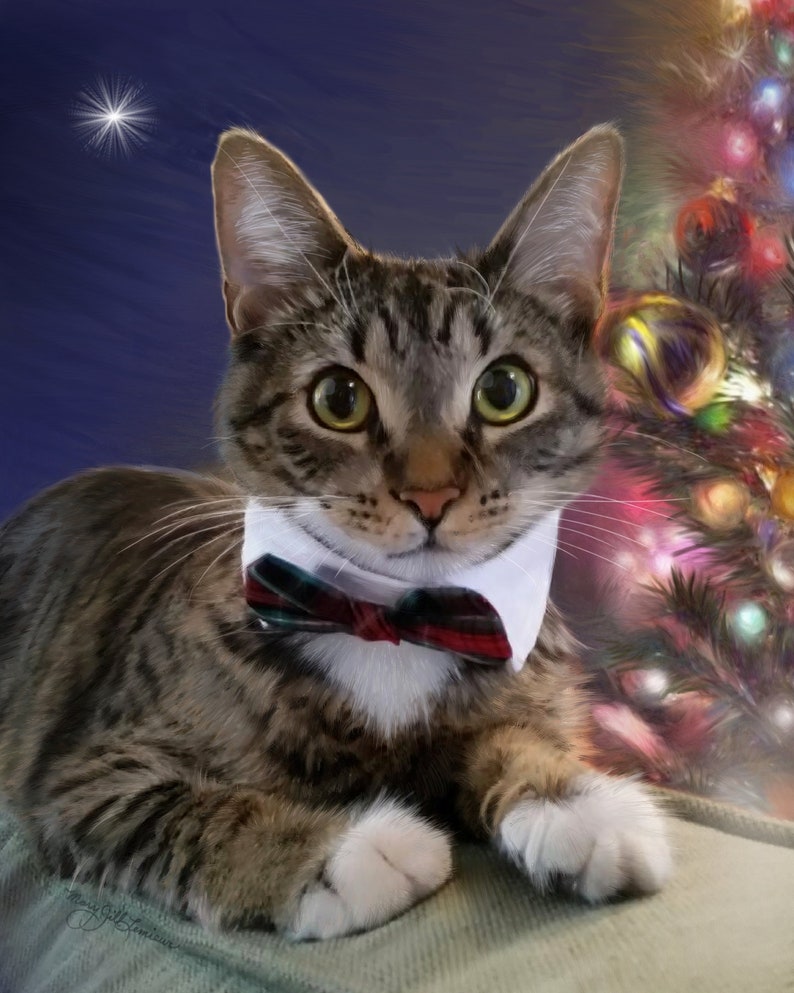 Op de afbeelding: Een tabbykat met een witte kraag met een rood-groene geruite strik. De kat ligt met zijn poten voor zich. De kat ligt voor een kerstboom met kleurrijke ornamenten en lampjes.