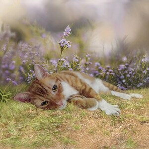 K&ouml;nnte beinhalten: Eine rot-wei&szlig;e Katze liegt auf dem Gras, umgeben von lila Blumen. Die Katze blickt den Betrachter mit ihren gr&uuml;nen Augen an. Die Szene hat eine weiche, vertr&auml;umte Qualit&auml;t mit einem verschwommenen Hintergrund aus mehr Blumen und Bl&auml;ttern.