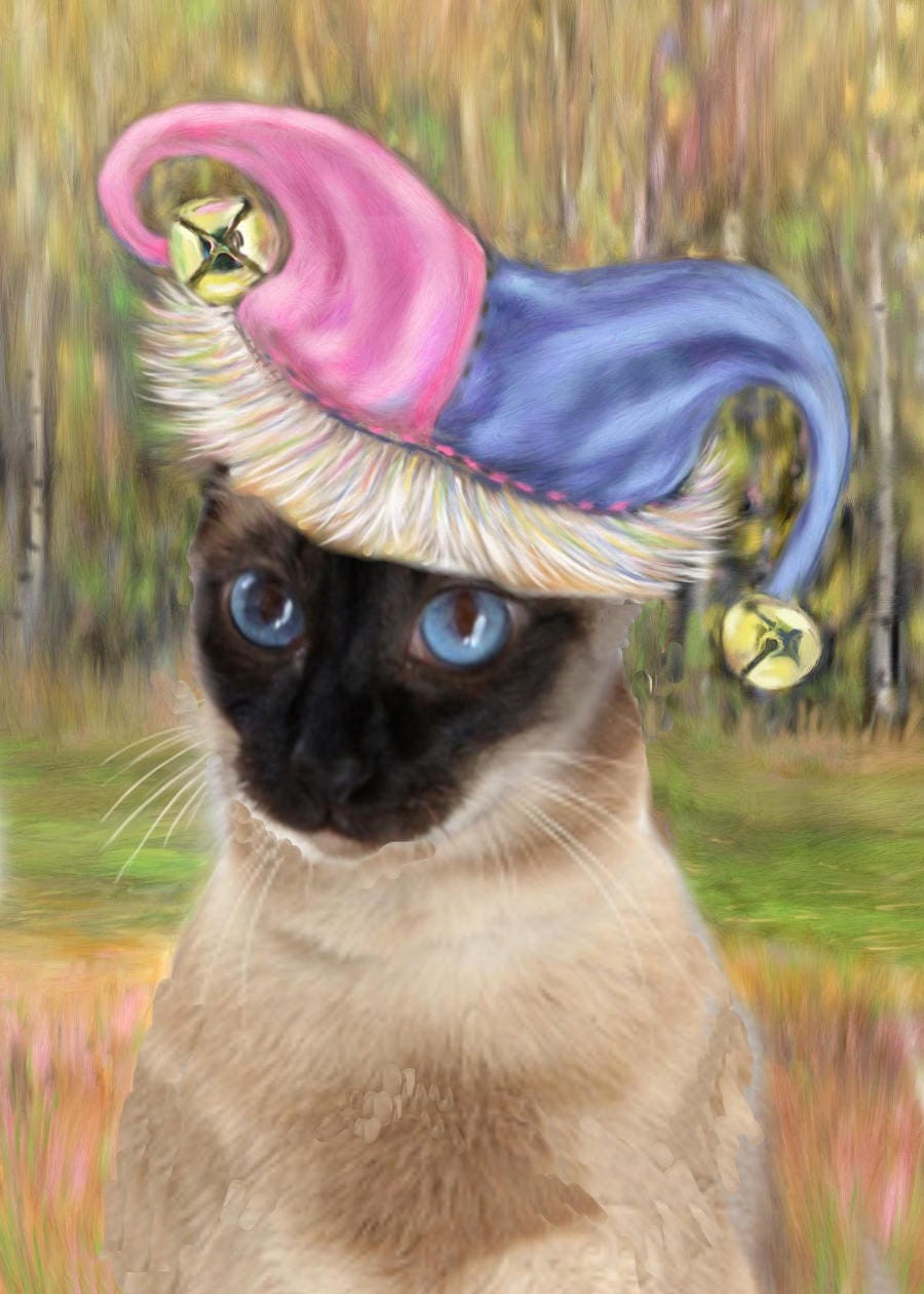 Cat art Jester Cat Fine Art Print Abyssinian Jester Cat Etsy