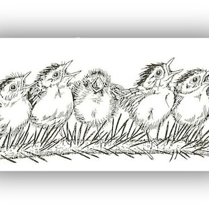 Chickadee Art print, bird family, pen and Ink drawing, black and white, cabin decor, baby birds artwork, singing birds print, branch