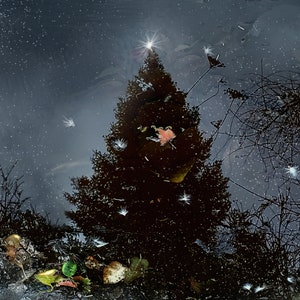 Árvore de Natal Cartão de Natal com céu noturno e reflexo de pinheiro em poça de neve cartão de felicitações de inverno