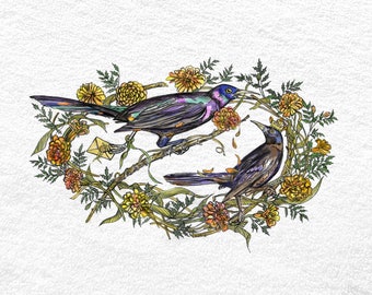 Grackles and Marigolds fine art giclee print on canvas or archival paper, common grackle art, marigold artwork, bird wreathe print