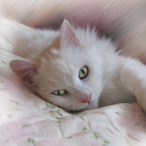 May include: A white cat with green eyes is lying on a white and pink floral patterned bedspread. The cat's fur is soft and fluffy.