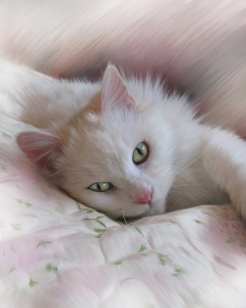 May include: A white cat with green eyes is lying on a white and pink floral patterned bedspread. The cat's fur is soft and fluffy.