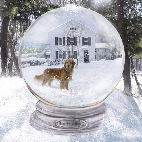 Custom Snow Globe Your Home in a Globe Etsy