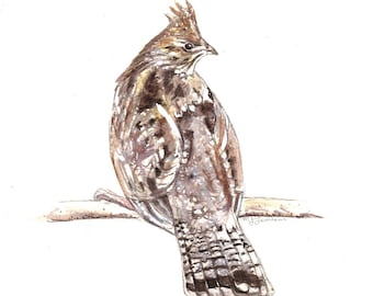 Grouse Art Ruffed Grouse  Game Bird Watercolor Print Home Decor