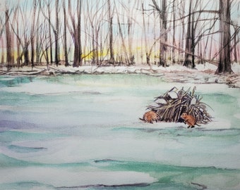 Muskrat painting, original watercolor painting, muskrats and lodge in winter landscape with frozen pond, forest, sunset and reflections