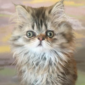 K&ouml;nnte beinhalten: Detailliertes Portr&auml;t eines flauschigen Perserkatzenbabys mit gr&uuml;nen Augen. Das K&auml;tzchen hat eine Mischung aus braunem, hellbraunem und wei&szlig;em Fell. Der Hintergrund ist eine weiche Mischung aus rosa, gelben und gr&uuml;nen Farbt&ouml;nen, die ein sanftes und k&uuml;nstlerisches Gef&uuml;hl erzeugt.