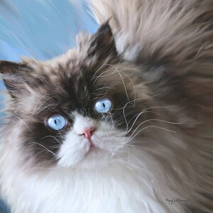 K&ouml;nnte beinhalten: Nahaufnahme eines Gem&auml;ldes einer flauschigen Katze mit leuchtend blauen Augen. Die Katze hat ein wei&szlig;es und braunes Fell mit langen Schnurrhaaren. Der Hintergrund ist ein sanftes Blau, das die Merkmale der Katze hervorhebt. Das Kunstwerk f&auml;ngt den sanften Ausdruck der Katze ein.