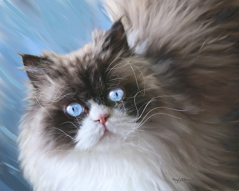 K&ouml;nnte beinhalten: Nahaufnahme eines Gem&auml;ldes einer flauschigen Katze mit leuchtend blauen Augen. Die Katze hat ein wei&szlig;es und braunes Fell mit langen Schnurrhaaren. Der Hintergrund ist ein sanftes Blau, das die Merkmale der Katze hervorhebt. Das Kunstwerk f&auml;ngt den sanften Ausdruck der Katze ein.