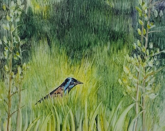 Grackle Painting, original watercolor, common grackle walking in grass artwork, bird artwork