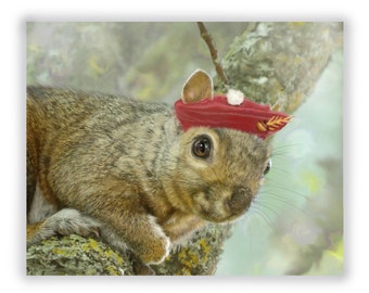 Squirrel Fine art print - Squirrel in Tam 'O Shanter Hat art - Giclee on Archival Paper or Canvas, Nursery squirrel painting