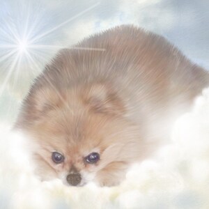 May include: A light brown Pomeranian dog resting on a cloud, with a bright light in the background. The dog has dark eyes and a fluffy coat. The image has a soft, dreamy quality.