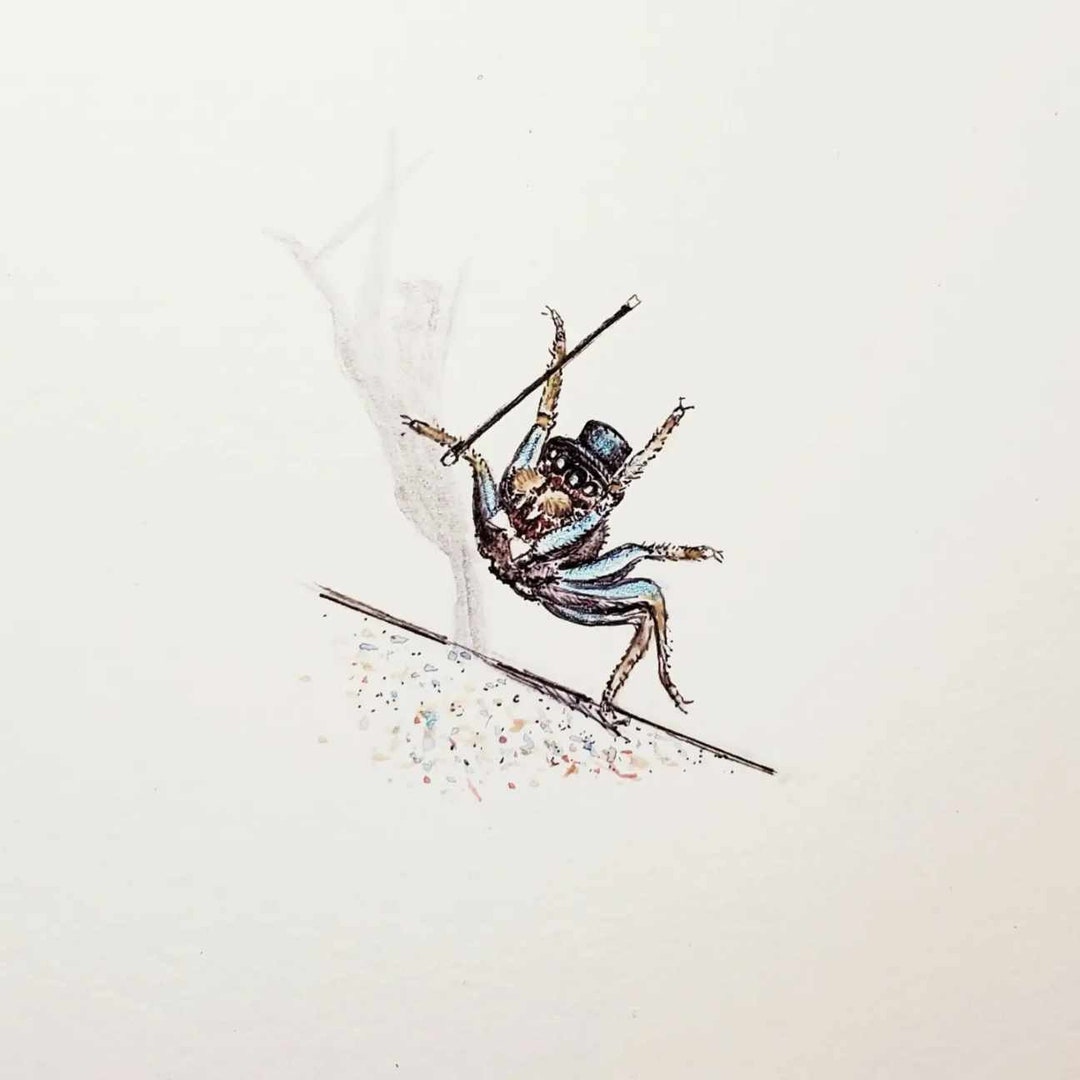 Jumping Spider Art, Original Mini Pen and Ink and Watercolor ...