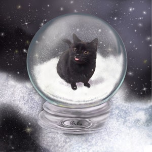 Ritratto personalizzato di un animale domestico con globo di neve, regalo di Natale per la mamma, regalo per la perdita di un animale domestico - ritratto artistico commemorativo - -, il tuo animale domestico in un globo di neve
