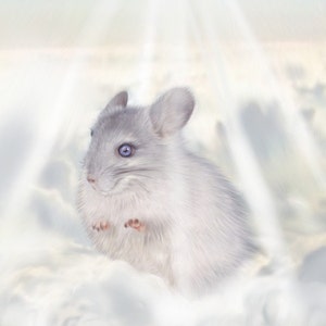 Hamster portrait, Custom Pet Portrait, hand painted digital art of any animal or pet, custom animal art commission, rainbow bridge art