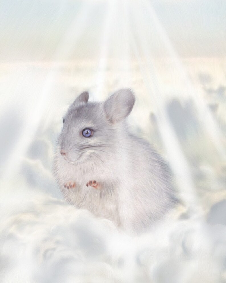 May include: A digitally painted image of a chinchilla with light gray fur and blue eyes, set against a backdrop of fluffy white clouds and bright, heavenly light. The chinchilla is the central focus.