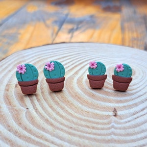 Puede incluir: Cuatro pequeños pendientes de cactus verde con flores rosas sobre una superficie de madera.
