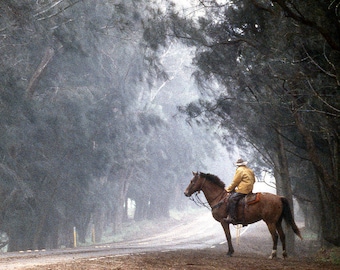 Misty Morning Hawaiian Cowboy Canvas Art Print