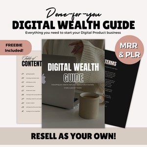 Digital Wealth Marketing Guide With Master Resell Rights MRR & Private Label Rights PLR, Done For You Digital Marketing Guide