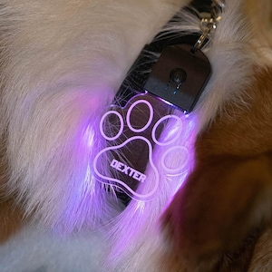 Peut inclure: Une étiquette de chien en forme de patte de couleur violette avec le nom "DEXTER" est attachée à un collier noir. L'étiquette est éclairée d'une lumière violette vive, et la fourrure du chien est visible en arrière-plan.