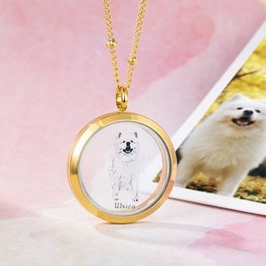 Custom Pet Fur Locket Urn Necklace with Photo & Name, Pet Keepsakes, Pet Memorial Lockets, Gift for Pet Lover, Pet Lost Gift