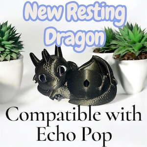 May include: A black and gold dragon ornament with large eyes and wings, in a resting pose. The text "New Resting Dragon" and "Compatible with Echo Pop" are displayed. Two potted succulents are in the background.