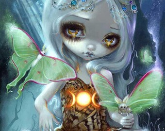 Luna Moth - Impression d'art 20 x 10 po.