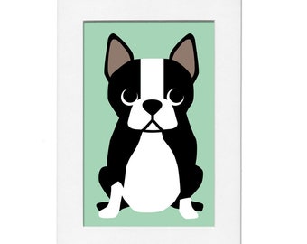 Boston Terrier 5 by 7 Print with Matte
