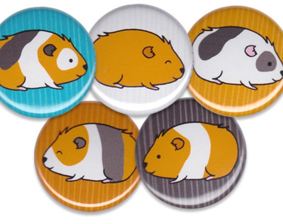 Happy Guinea Pigs Pin Set of 5 One Inch Pinback Buttons