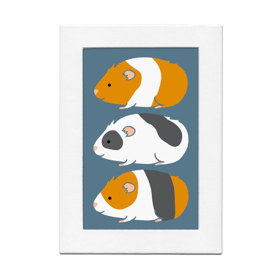 Guinea Pig Trio 5 by 7 Print with Matte