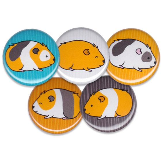 Happy Guinea Pigs Pin Set of 5 One Inch Pinback Buttons