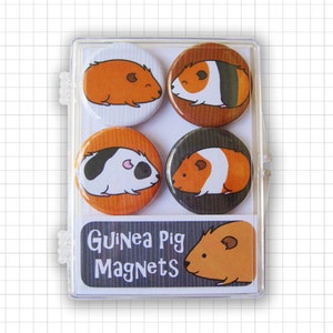 Guinea Pigs Magnet Set