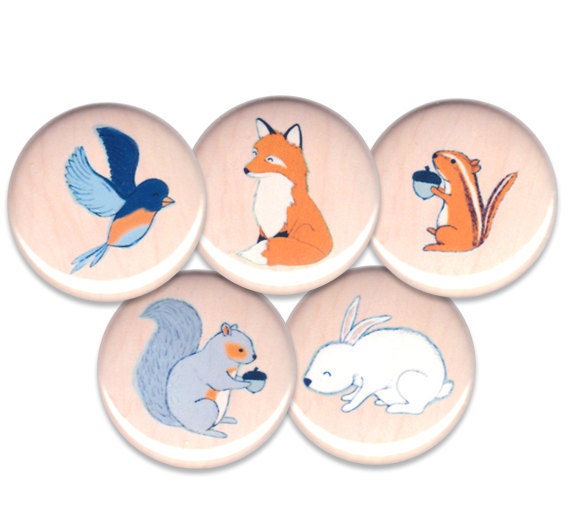 Woodland Critter Pin Set of 5 One Inch Pinback Buttons