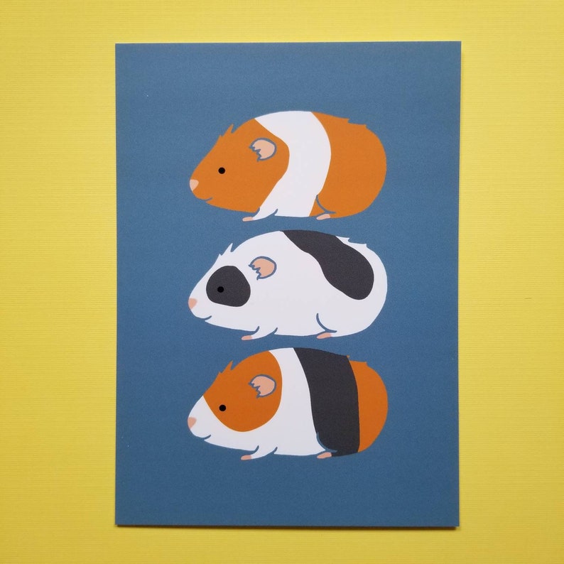 Guinea Pig Trio 5 by 7 Print with Matte Bild 3