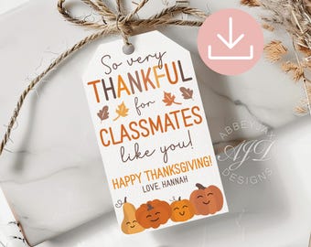 Thanksgiving Classmate Gift Tag, Fall Classroom Treats, Thankful For You Gift Tags, Printable Thanksgiving Tags, Fall Appreciation Tags