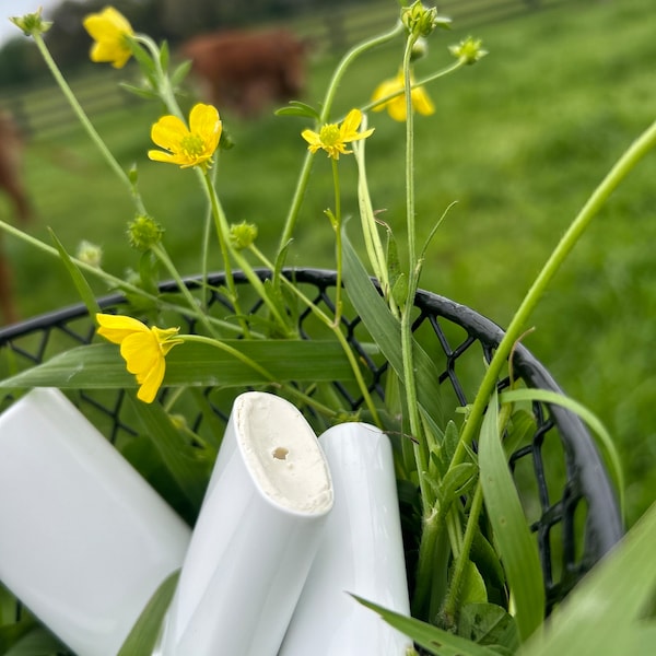 Tallow Sunscreen