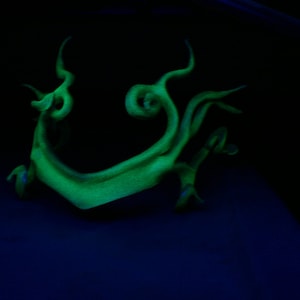 Emerald green, Absinthe glow in the dark leather crown, leather head piece by faerywhere image 2