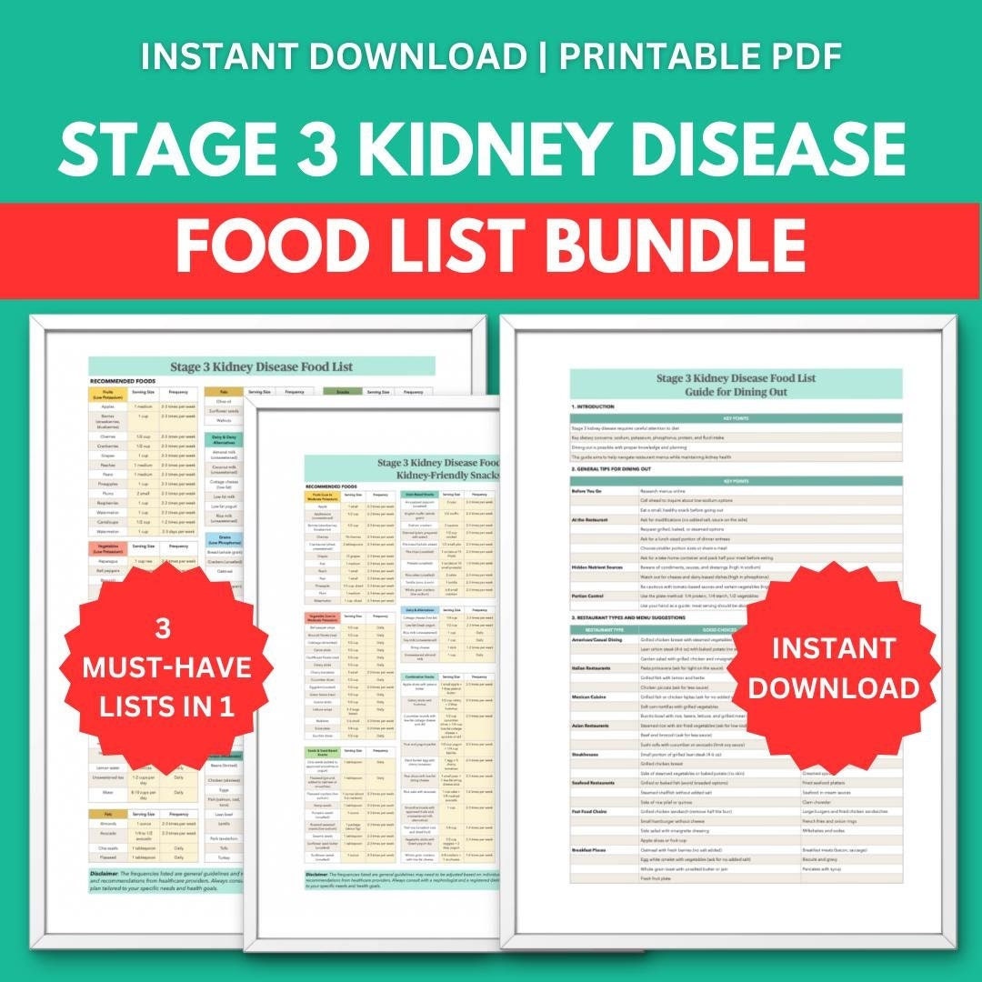 Stage 3 Kidney Disease Food List BUNDLE: Ultimate Guide for Kidney-Friendly Meals, Snacks, and Dining Out | Kidney Disease Diet Guide