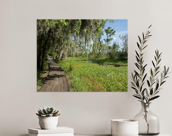 Louisiana Swamp Boardwalk Wall Art, Barataria Preserve Photography Print, Southern Bayou Nature Photo, Rustic Landscape Decor