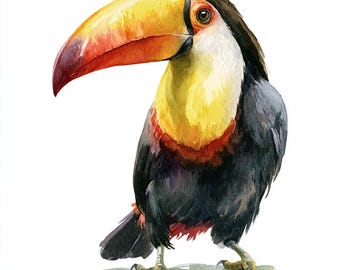 May include: A watercolor illustration of a toucan featuring a large, vibrant orange and yellow beak, a bright yellow throat, and black plumage. The bird has a dark eye with a brown iris and stands on two light-colored feet against a white background.