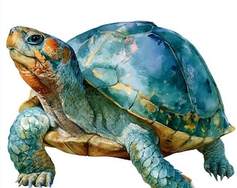 May include: A watercolor illustration of a turtle with a teal and blue shell. The turtle has a textured, scaly head and limbs in shades of blue, green, and orange. The underbelly is a warm tan color, and the turtle is shown in profile.