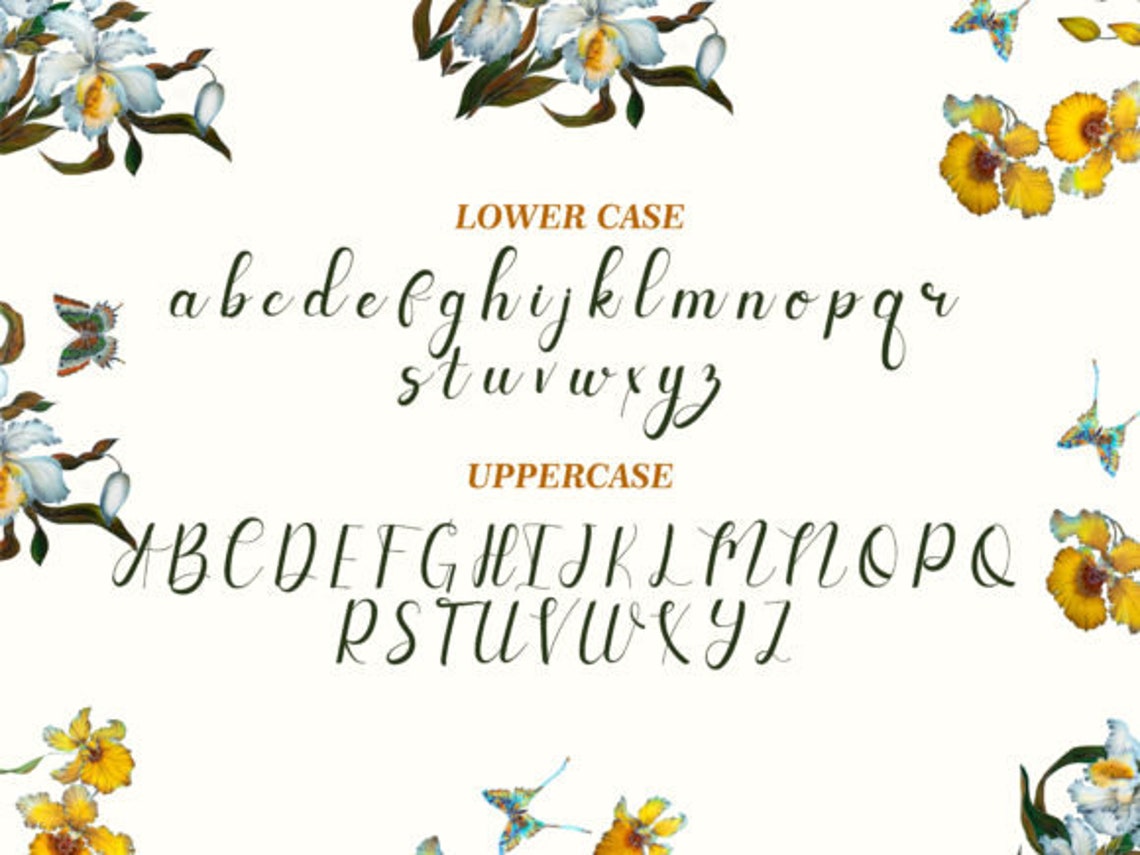 Launch Font, Display Font, Vintage Cricut Font, Font Bundle for Cricut ...